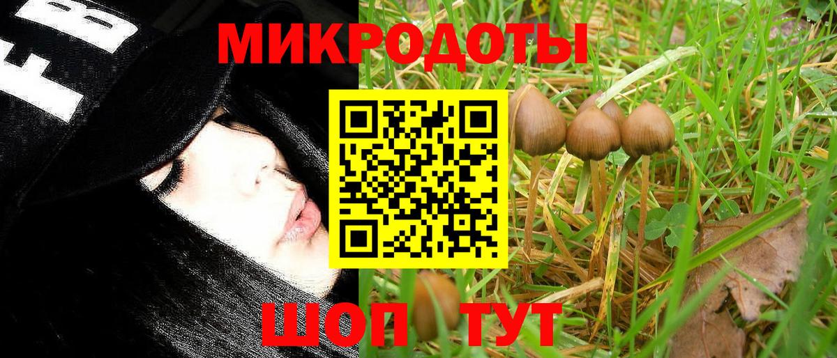 Клин  Галлюциногенные грибы Cubensis  Вход с VPN  Псилоцибиновые грибы ЛСД 